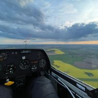 arthxr_pilot
