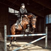 herzenspferd.holly