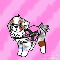 _ayumi_essadog_
