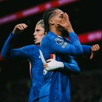 cfc.phantom