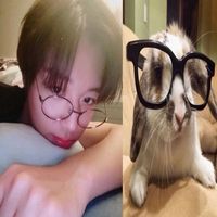 12071992dhw