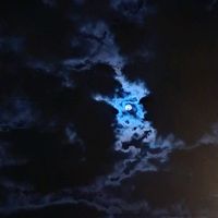 user5gfiku2yi5