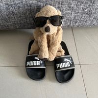 keksderhund33