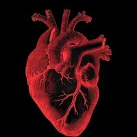 _balkan01songs_