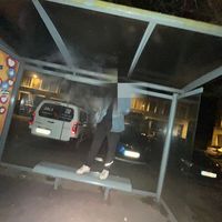 nikito_trn