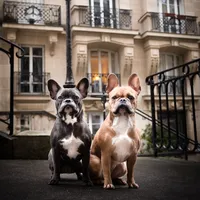 original sound - thiwai_juicy_frenchies