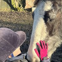 equestrian_caitlyn123