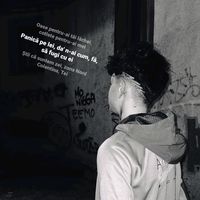 28.radu_x