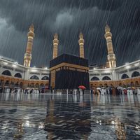 amir05925