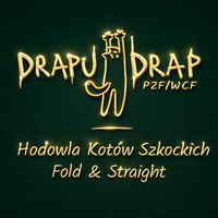 drapudrap