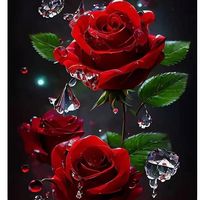 asal_ibrahimi12