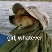 abbyleemillersgoldenguns