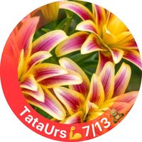 petrutaa112
