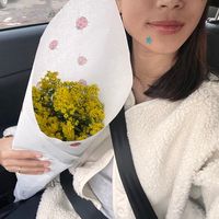 beetina.limbu