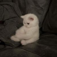 imencestmoi_