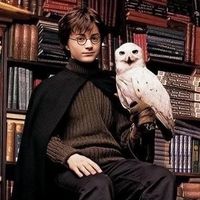dearhedwig