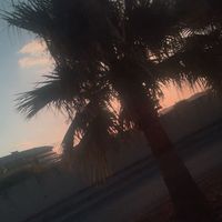 alishbax_15