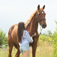 ga.riding