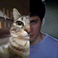 cat4linn