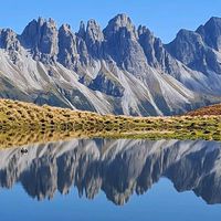 natureral8