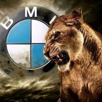bmw.ciila