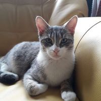 monchatdu57