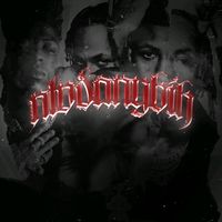 nlvdanybih