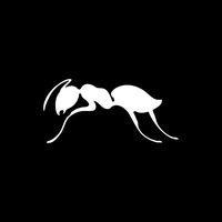 unitedants