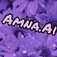 amna.noor2500