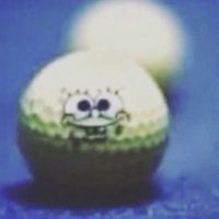 luhspongebruzz