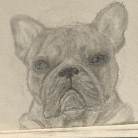 frankie.1190