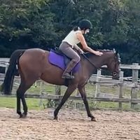 vanessaroberts838