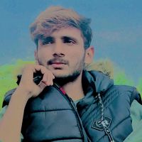 cricket_vibes_721