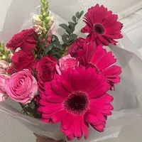 original sound - mag18742