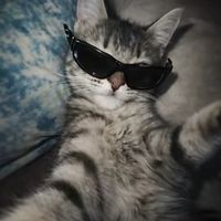 originalljud - Sleepy💤
