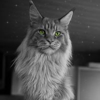 chatterie.des.100.sous