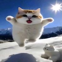 оригинальный звук