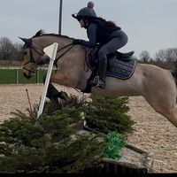 lylahx36