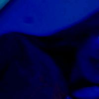 lorine_mrd