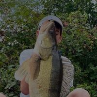 4ndy.fish