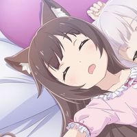 9vicaxd