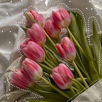 olympe.dream