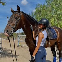 claudia.x.horses