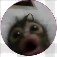 username25791xo