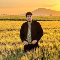 amine_gr54