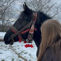 _bella2023_