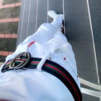 ladeb_212