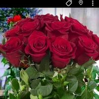 sunet original