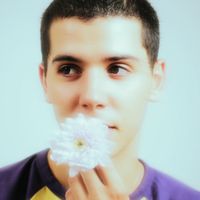 sulivangwed