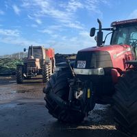 caseih260